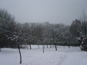 Bonhommes de neige 20 décembre 2010 014