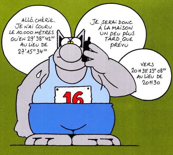 Le chat