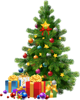 sapin01